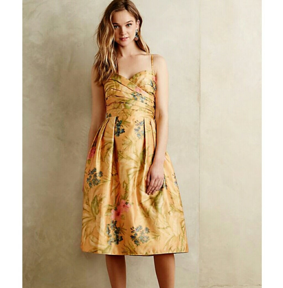 Anthropologie James Coviello Botanica Dress